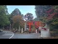 20241124日吉大社紅葉状況 hd 1080p