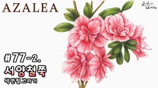 Flower Drawing Azalea | 아잘레아(서양철쭉) 그리기 | 꽃그림 강좌 77-2