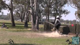 Jack Hayden riding SANDHILLS BOUNCE 270 EvA105 Albury Horse Trials 2013