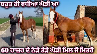 60 ਹਾਜ਼ਰ ਦੇ ਨੇੜੇ ਤੇੜੇ ਘੋੜੀ ਮਿਲ ਜੋ