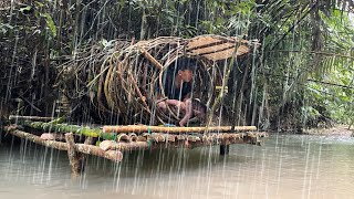 building a warm nest from roots on an inland river in Sumatra with clever monkeys