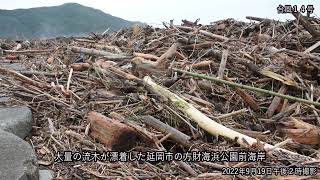 台風１４号　延岡市方財海浜公園前海岸の様子