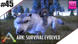 【三人称】ARK:Survival Evolved #45【生放送】