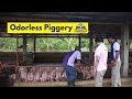 FeedproTV: Odorless Cemented Piggery