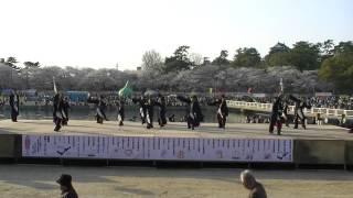 どまつり夜桜in 岡崎2012　meetiα