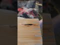 filling a knot woodworking diy carpentry woodworker maker woodworking wood handmade