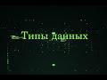 python speedrun Курс 3 Часа Практические Задания