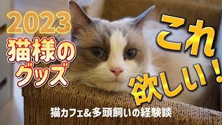 【猫のお世話】オーナーが買いたいけど買えない猫用品2023🎍🌅