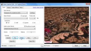 Video Capture SDK / SDK .Net - DV preview