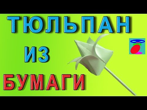 Тюльпан из бумаги. Бумажный тюльпан. Тюльпан из бумаги. Бумажный тюльпан.