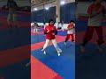 Basic Movement for Sparring #Taekwondo  Today's training 5/10/2022 #shorts