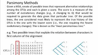 Phylogenetics - Basic Steps - Maximum Parsimony