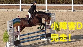 障害馬術 アマドア 2022兵庫県新春馬術大会小障害Ｄ