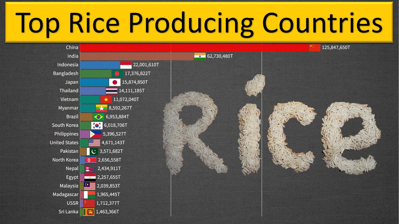 Top Rice Producing Countries In The World - YouTube