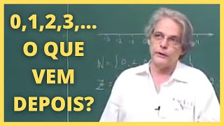 OS CONJUNTOS DOS NATURAIS, INTEIROS E RACIONAIS | Ledo Vaccaro