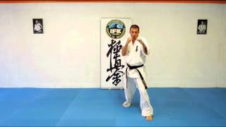 Karate Kyokushin Video Lesson 1