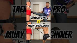 TAEKWONDO VS MUAY THAI