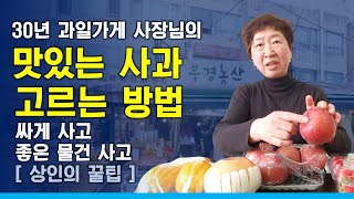 맛있는 사과 고르는 방법 서울용문전통시장 30년 과일가게 부경농산