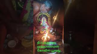 நீப்பத்துறை முத்தாலம்மன் கோவில் பூஜை