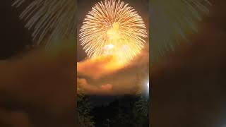 fireworks 煙火 #shorts #tiktok