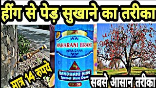 हींग से पेड़ सुखाने का तरीका || Hing se ped sukhaye