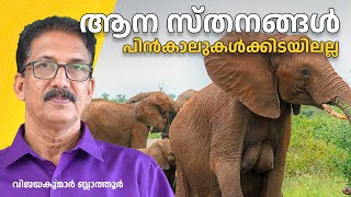 ആനയുടെ സ്തനങ്ങൾ  മുൻ കാലുകൾക്ക് ഇടയിൽ position of  elephant mammary glands  #elephant #ആന