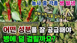 병이 발생하는 원인과 예방은? (어떤 성분을 잘 공급해야 병에 덜 걸릴까요?)