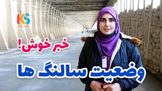 وضعیت سالنگ ها از چی قرار است و چی زمان باز میشود | خبرخوش سالنگ