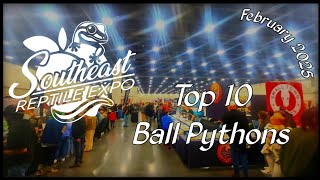 Top 10 Ball Pythons At @SoutheastReptileExpo February 2025