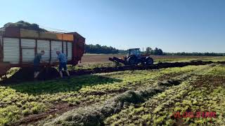 Silo fahren 2020 mit Überraschung