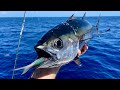 Company For Fun Tournament Offshore Fishing - Tuna, Amberjack, King Mackerel and More!!