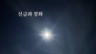 신금과 정화