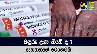 වඳුරු උණ තිබේ ද ? දැනගන්නේ මෙහෙමයි