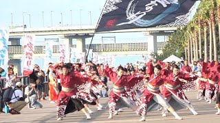 藍なり「鳴動～あらたな時～」第19回泉州YOSAKOIゑぇじゃないか祭り ～SEASIDE会場～ 2023.10.15📹️