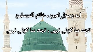 Ae Rasool e Amin || Tujh sa koi nahi || #naat #islamicvideo #naatstatus #hearttouching #naatsharif