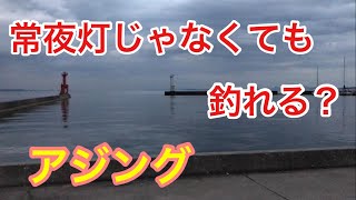 常夜灯じゃなくても釣れる？アジング 知多半島 知多湾