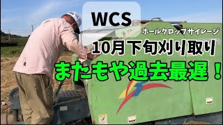 今更ながらWCS