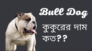 বুলডগ কুকুরের দাম কত?- শৌখিন পোষা কুকুরের দাম- American Bulldog price in Bangladesh- Pet World