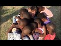 habitat for humanity lesotho video