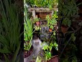 ไอเดียสวนหน้าบ้านสวยๆ small garden shots diy สวนหน้าบ้าน