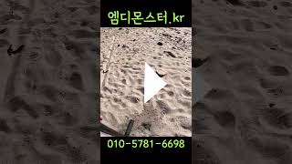 엠디몬스터  금속탐지기  #후기 906