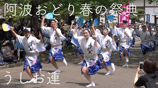 阿波おどり春の祭典・うしお連_20220501 Awaodori in Tokushima Japan