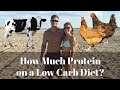 How Much Protein Do You Need on a Low Carb Diet? | Ketosis Protein Requirements- Thomas DeLauer