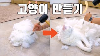 고양이 만드는 방법 | 고양이산책