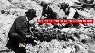 Colorado Experience: Dinosaurs - Promo