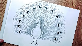 How to draw peacock easily steps with pencil