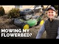 Did I Just Mow My Flowerbed? 👀 🌼 | Gardening with Wyse Guide