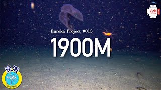 深海への挑戦 | 水中カメラ | 水深1900mの深海生物4K映像【右側カメラ】～The challenge of the deep sea～  No.015