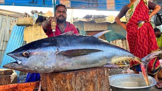 KASIMEDU 🔥 MR KUMAR | GIANTS TUNA FISH CUTTING VIDEO | IN KASIMEDU | FF CUTTING 🔪