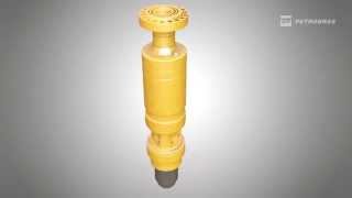 Flexible risers with integrated monitoring system - OTC 2015